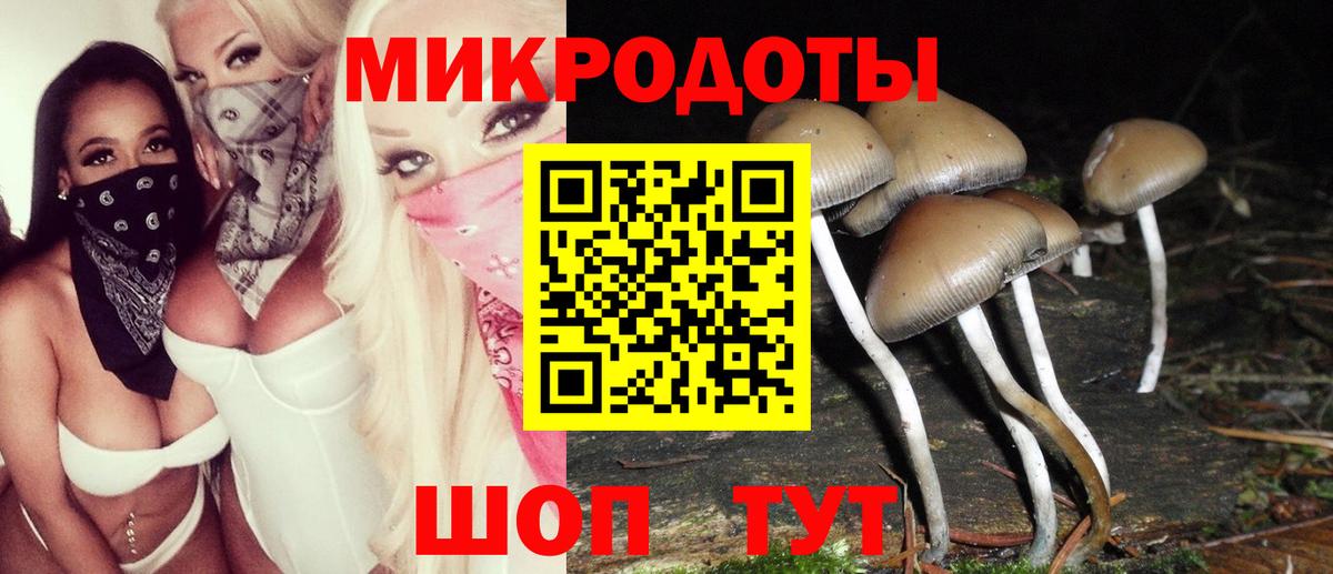 Галлюциногенные грибы Magic Shrooms Луховицы